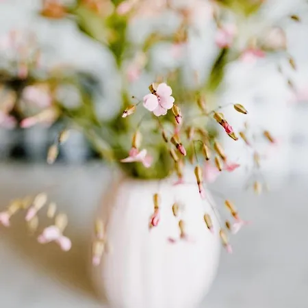 Διαμέρισμα Waldgasthaus Armeleuteberg *