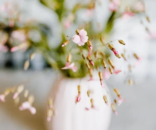 Apartment Waldgasthaus Armeleuteberg *